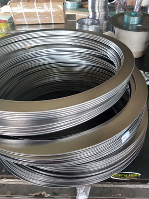 High Temperature O-Ring SS304 SS316 Graphite Packing Spiral Wound Seal Flange Gaskets