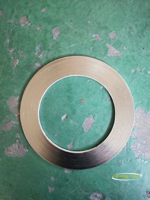 Single End Structure SS304 SS316 Stainless Steel Graphite Packing Spiral Wound Gasket