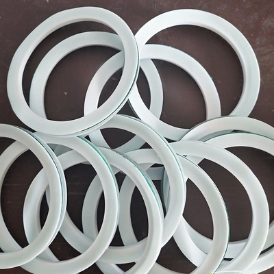 Temperature Performance O-Ring Graphite Spiral Wound Gasket with Inner and Outer Ring